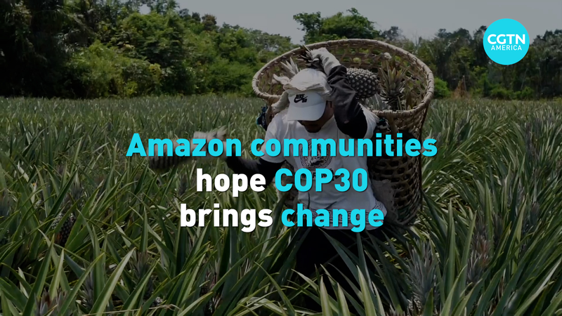 Les communautés amazoniennes espèrent que COP30 protégera la forêt video poster