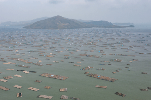 Des inondations record frappent la région sud-centre du Vietnam