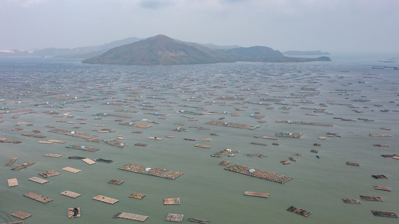 Des inondations record frappent la région sud-centre du Vietnam