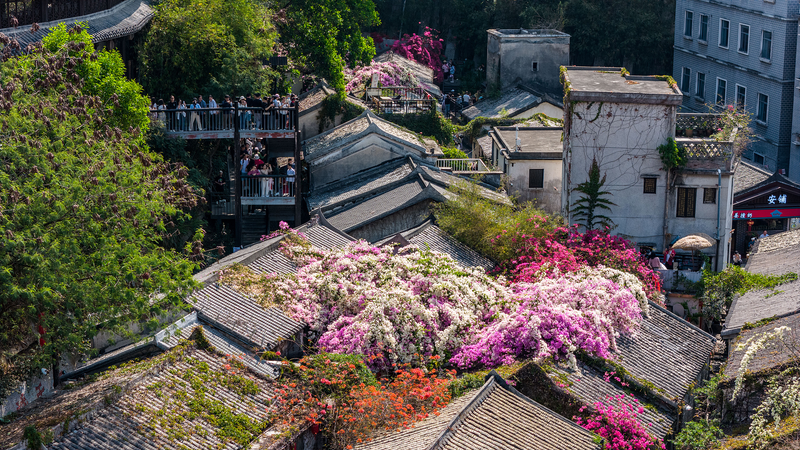 Découvrez l'ambiance des Jeux Nationaux dans la ville de Gankeng Hakka video poster