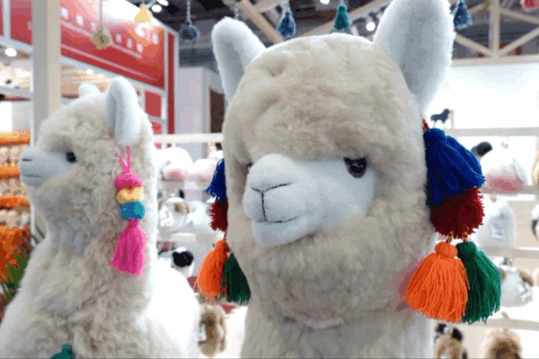 Les poupées alpaga péruviennes volent la vedette au CIIE video poster