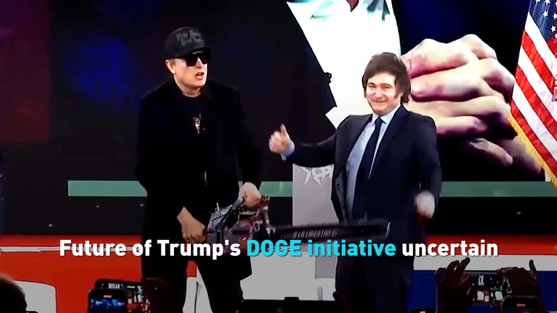 Arrêt anticipé met l'initiative DOGE de Trump en suspens video poster
