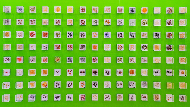 Pékin mène le monde dans la préservation de germoplasmes de cultures