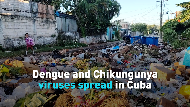 Cuba fait face à une poussée de Dengue et de Chikungunya video poster
