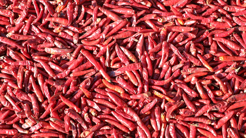 Des scientifiques chinois développent un chili-mètre en gel pour mesurer le piquant