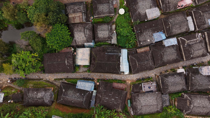 Sagesse durable dans les anciennes forêts de thé du Yunnan video poster