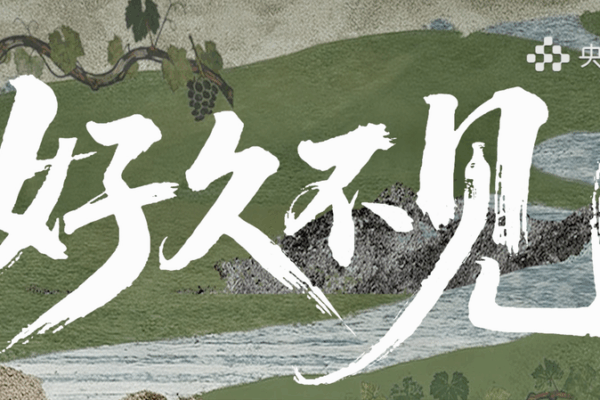 Cela_faisait_longtemps___Repas_et_histoires_du_continent_chinois video poster