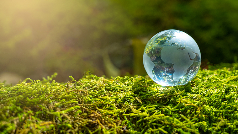 Le sondage mondial exige une action rapide en matière de gouvernance climatique