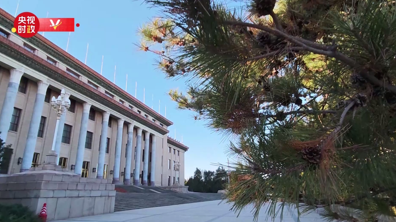 Xi Jinping accueille le roi Tupou VI des Tonga à Pékin