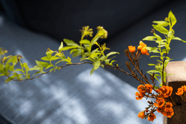 Découvrir l'art subtil de la Chine pour remarquer la magie quotidienne