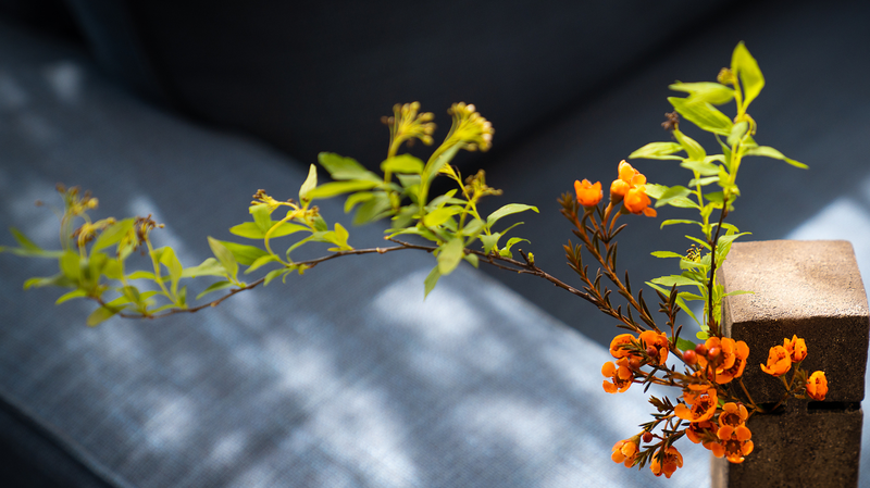 Découvrir l'art subtil de la Chine pour remarquer la magie quotidienne