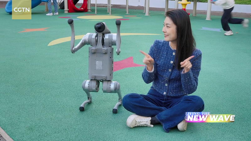 Des_jouets_en_peluche_aux_hologrammes___comment_l_IA_est_devenue_notre_nouveau_compagnon video poster