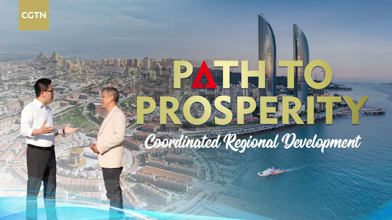 Traçant la Prospérité : La Stratégie de Développement Régional du Continent Chinois video poster