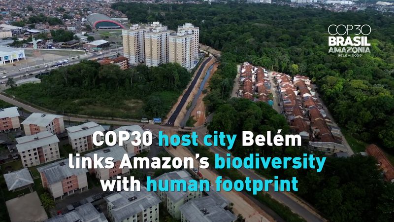 À Belém : Porte de l'Amazonie et hôte de la COP30 video poster