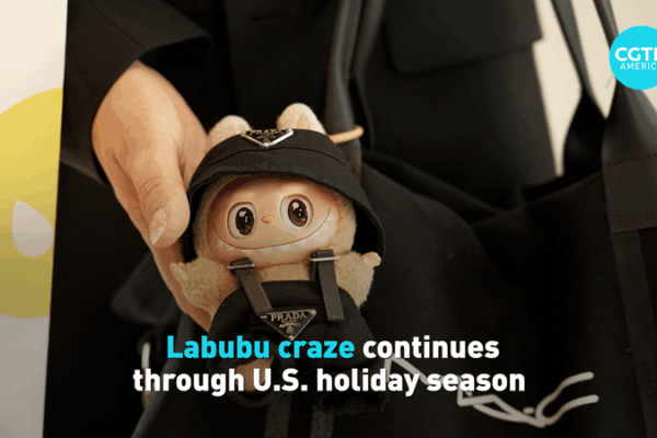 La folie Labubu illumine les achats de vacances aux États-Unis video poster