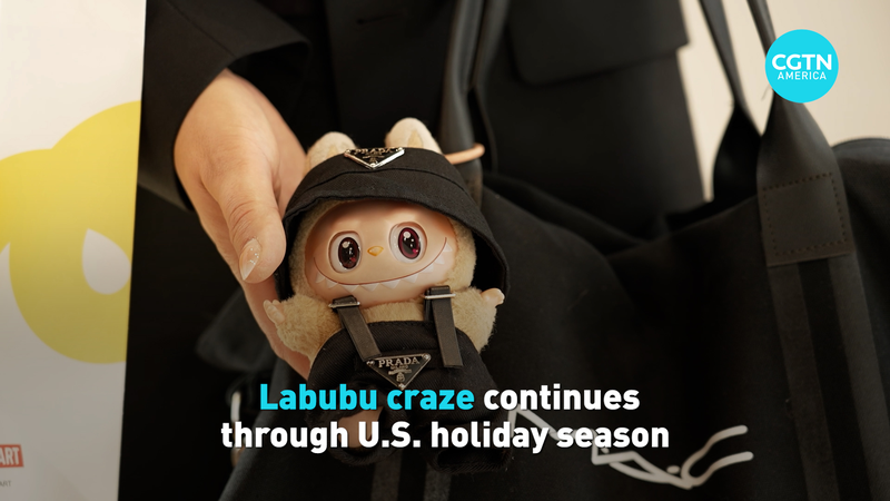 La folie Labubu illumine les achats de vacances aux États-Unis video poster