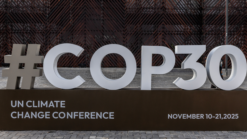 La Chine demande l'unité mondiale pour protéger les forêts tropicales