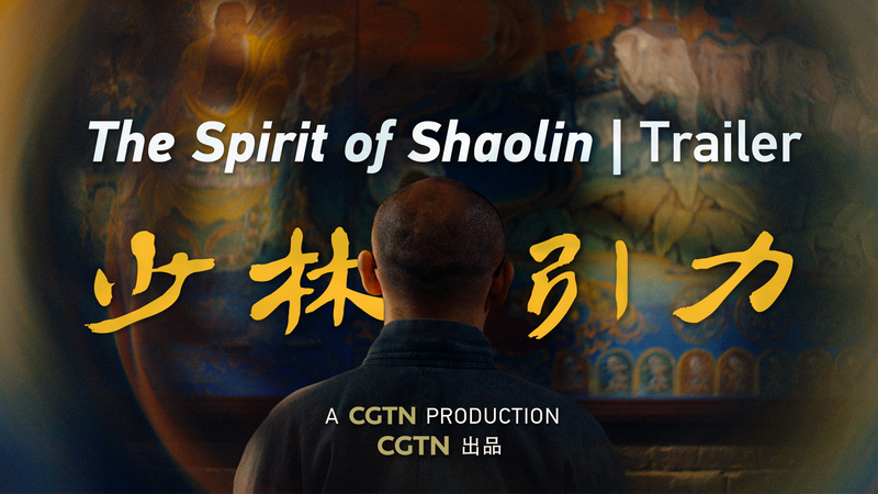 Découvrez la puissance paisible du Shaolin dans un nouveau documentaire video poster