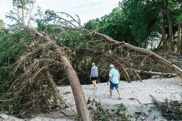 Les dirigeants du G20 s'unissent pour relever les défis mondiaux lors du sommet de Johannesburg