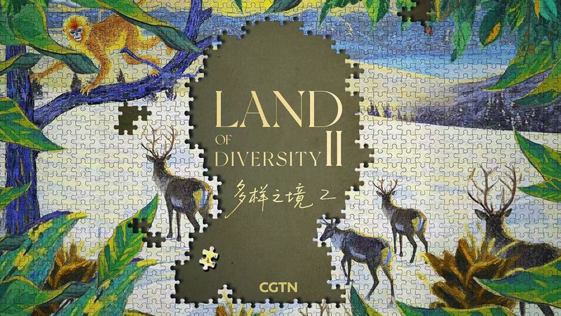 Terre de Diversité II : Comment les Humains et la Nature Écrivent une Histoire Commune video poster