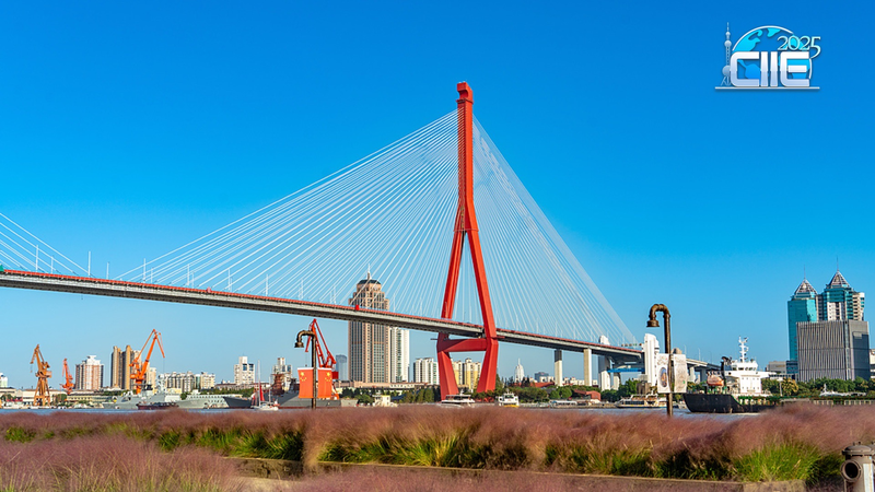 Découvrez le front de rivière Yangpu de Shanghai : renaissance du passé industriel video poster