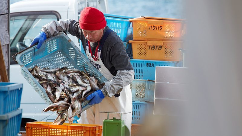 Les tensions croissantes entre le Japon et la Chine continentale menacent les moyens de subsistance des pêcheurs d’Okinawa video poster