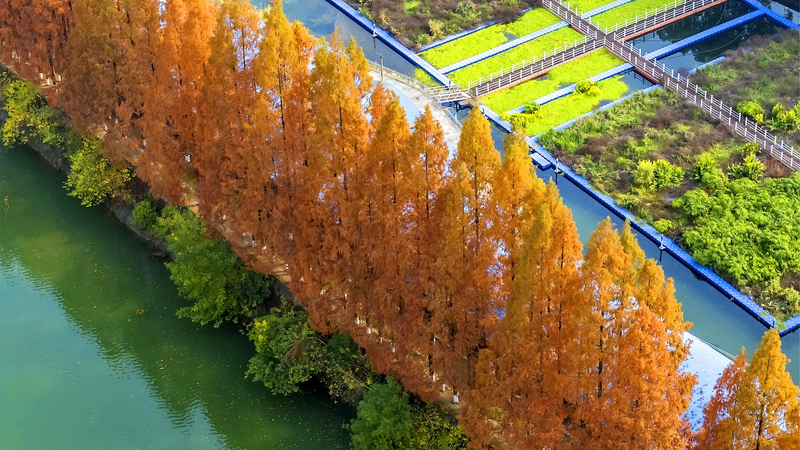 La Chine dévoile une nouvelle réglementation sur la surveillance écologique
