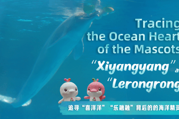 Comment le dauphin blanc chinois a inspiré Xiyangyang et Lerongrong video poster