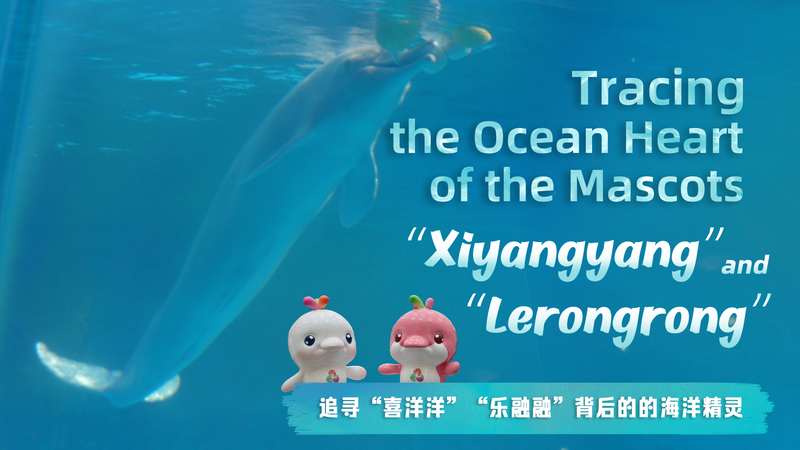 Comment le dauphin blanc chinois a inspiré Xiyangyang et Lerongrong video poster