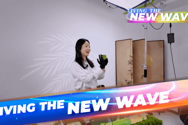 Le_Shopping_en_Direct_sur_le_Continent_Chinois___L_Avenir_du_E_commerce video poster