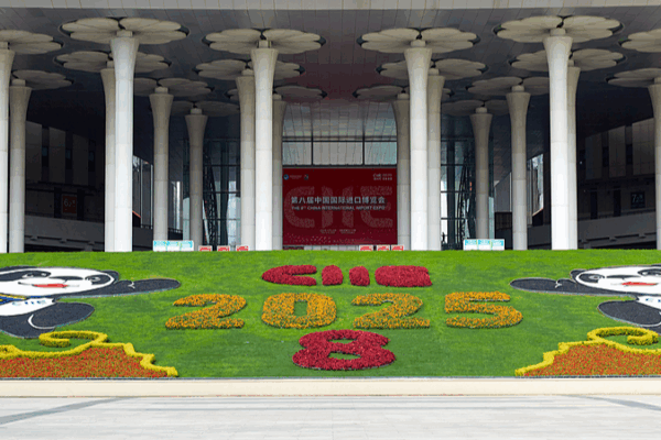 Le Premier ministre géorgien et des dirigeants mondiaux se préparent pour la 8e Expo d'importation de Chine