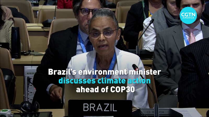 L'Appel Climatique du Brésil : Marina Silva sur l'Action à la COP30 video poster
