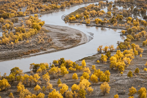 Du sable à l'oasis : 38 000 acres verdissent le désert du Taklimakan video poster