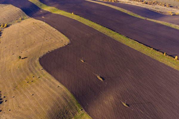 Raviver_le_sol_noir_de_la_Chine_continentale