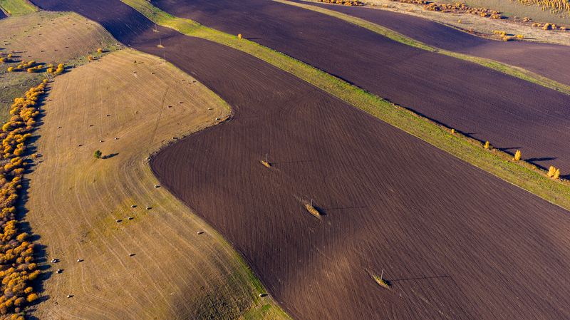 Raviver_le_sol_noir_de_la_Chine_continentale