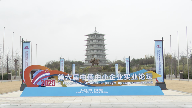 Les PME Chine-Russie établissent des liens d'économie verte à Xi’an