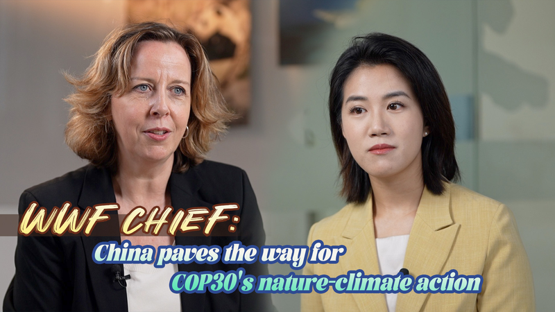 Le leadership de la nature-climat du continent chinois brille à la COP30, déclare le directeur du WWF video poster