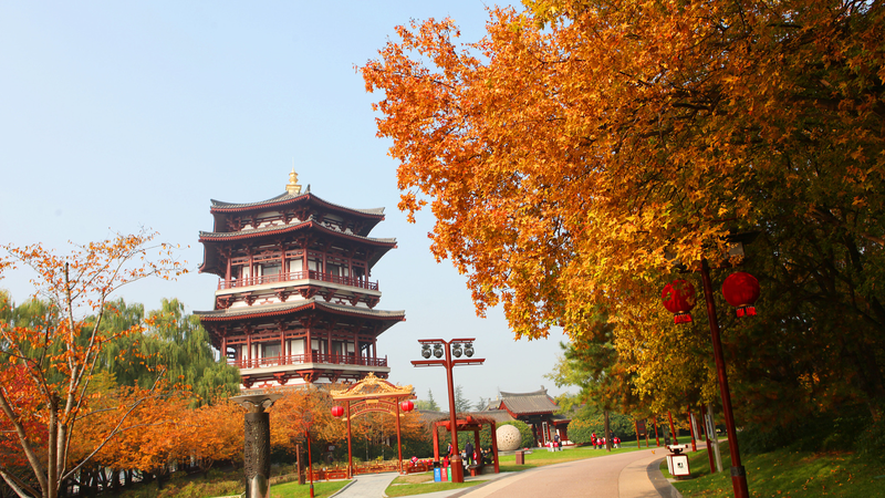 Le paradis Tang de Xi'an brille dans l’éclat doré de l’automne