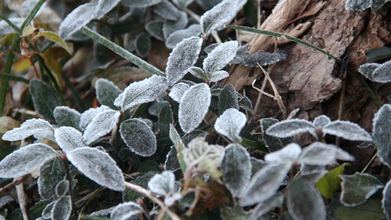 Trois_vagues_de_froid_pour_refroidir_le_continent_chinois_cette_semaine