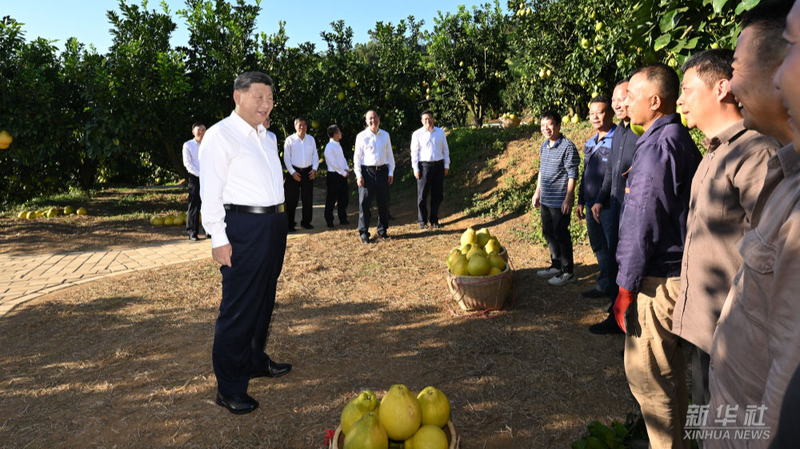 Xi Jinping visite les fermes de pomelos et le parc mémorial de Meizhou