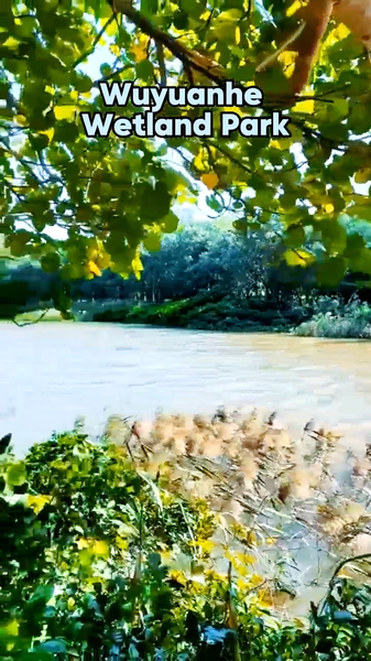 Respirez à l'aise au parc de zones humides de Wuyuanhe à Haikou video poster