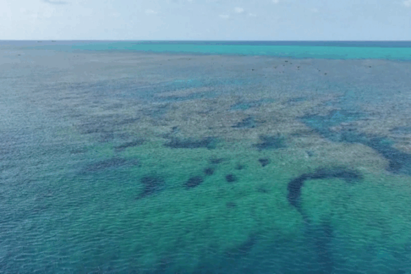 Rapport écologique des eaux de Huangyan Dao 2025 publié