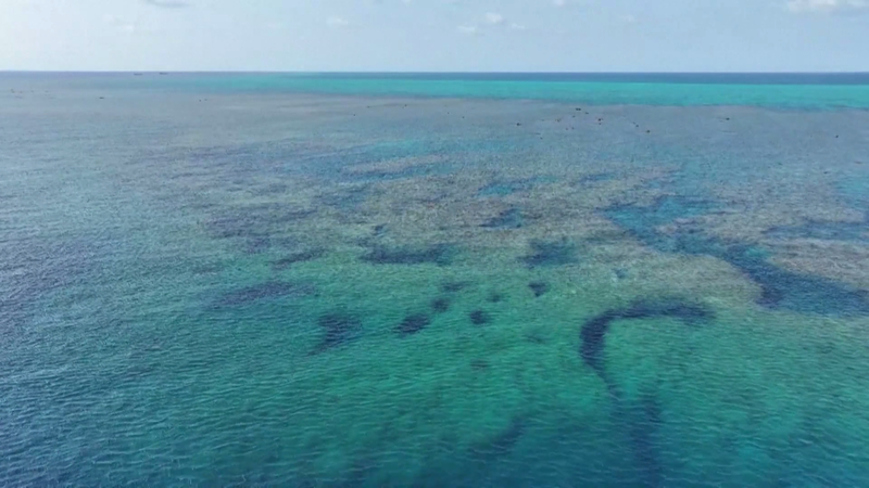 Rapport écologique des eaux de Huangyan Dao 2025 publié