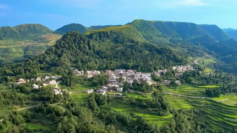 La transformation écologique du comté d’Anji : des carrières aux bambous et au thé