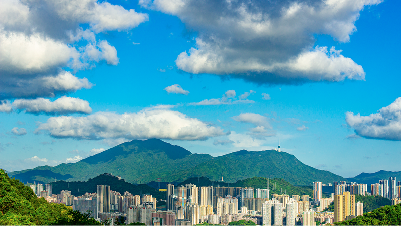 Énergie de pointe : Mont Wutong et le marathon des Jeux nationaux de Shenzhen video poster