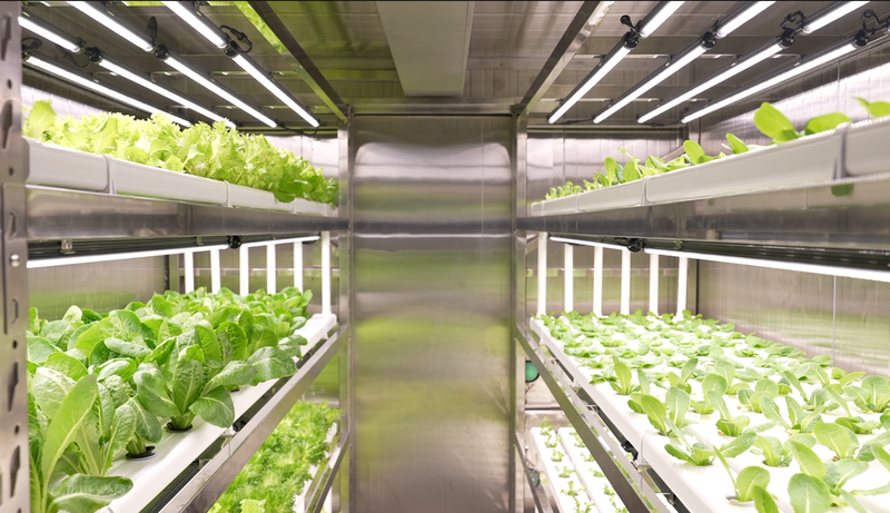 La Chine lance une ferme intelligente en mer pour des récoltes toute l'année video poster