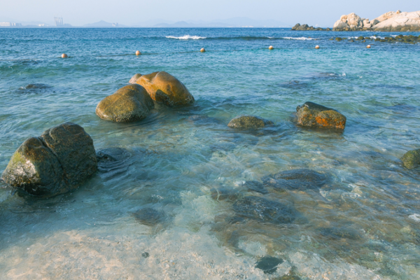 Le bond vert de l’île de Wuzhizhou : renaissance des coraux et écotourisme video poster