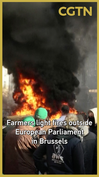 Les agriculteurs allument des feux au Parlement de l'UE à Bruxelles contre l'accord Mercosur video poster