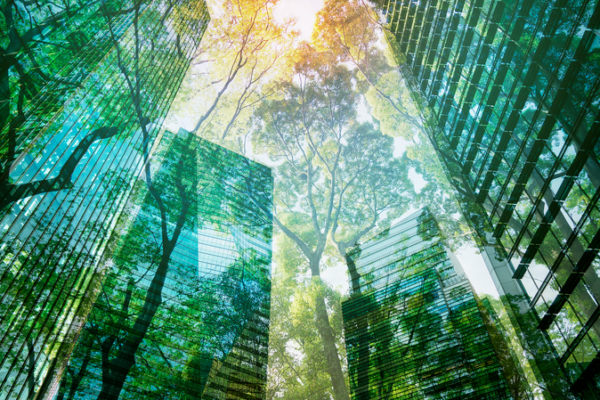 L'économie verte prête à dépasser 7 T$ d'ici 2030 : Rapport WEF-BCG