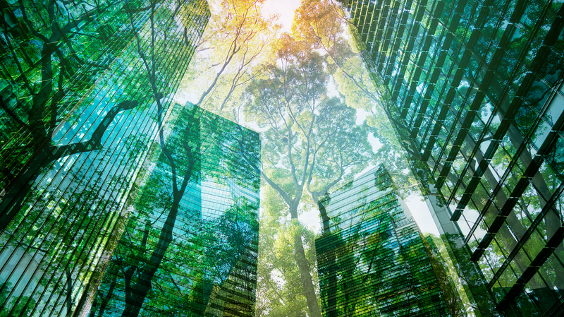 L'économie verte prête à dépasser 7 T$ d'ici 2030 : Rapport WEF-BCG